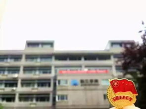 新生攻略 原來我學的專業是這樣的——化工